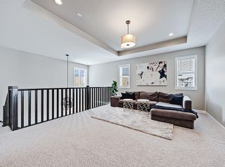 Photo 23: 51 Marquis Green SE in Calgary: Mahogany Detached for sale : MLS®# A2114028