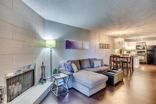 Main Photo: 205 1001 68 Avenue SW in Calgary: Kelvin Grove Apartment for sale : MLS®# A1165368