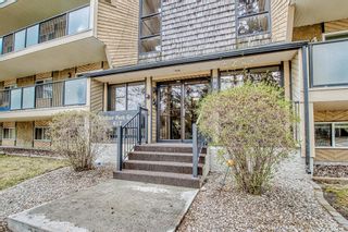 Photo 3: 413 617 56 Avenue SW in Calgary: Windsor Park Apartment for sale : MLS®# A2047908