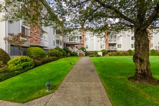 Photo 2: 216 5379 205 Street in Langley: Langley City Condo for sale : MLS®# R2745797