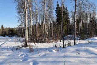 Photo 7: Lot 1 FREELAND AVENUE in Smithers: Smithers - Rural Land for sale (Smithers And Area (Zone 54))  : MLS®# R2645316