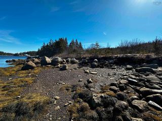 Photo 13: 257 Cole Harbour Village Road in Larrys River: 303-Guysborough County Residential for sale (Highland Region)  : MLS®# 202406732