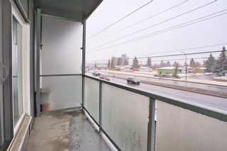 Photo 14: 207 335 Garry Crescent NE in Calgary: Greenview Apartment for sale : MLS®# A2010444