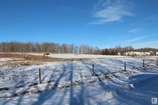 Photo 7: 254042 TWP 460: Rural Wetaskiwin County Manufactured Home for sale : MLS®# E4372931