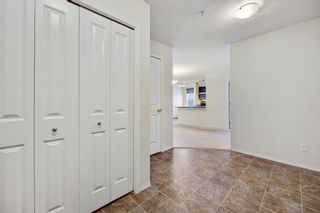 Photo 15: 9102 403 Mackenzie Way SW: Airdrie Apartment for sale : MLS®# A2018212