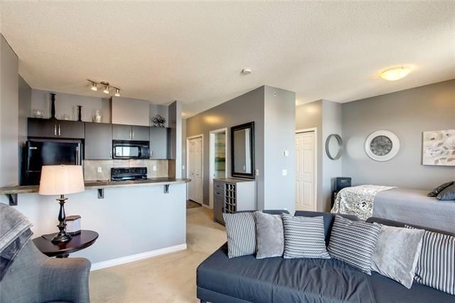 Main Photo: 417 1727 54 Street SE in Calgary: Penbrooke Meadows Apartment for sale : MLS®# C4290502