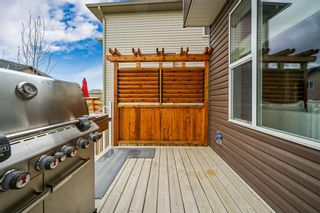 Photo 32: 354 Nolan Hill Drive NW in Calgary: Nolan Hill Detached for sale : MLS®# A1221876