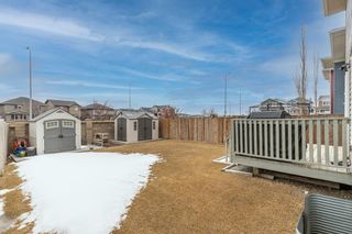Photo 33: 218 Evansford Circle NW in Calgary: Evanston Detached for sale : MLS®# A1190873
