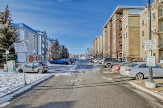 Photo 36: 3607 11811 Lake Fraser Drive SE in Calgary: Lake Bonavista Apartment for sale : MLS®# A2019899