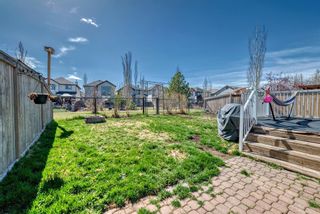 Photo 31: 94 Cranfield Green SE in Calgary: Cranston Detached for sale : MLS®# A2126945