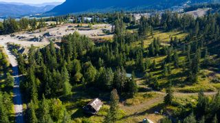 Photo 20: 3366 Roberge Place: Tappen Vacant Land for sale (Shuswap Region)  : MLS®# 10259988