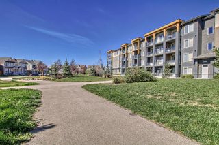 Photo 33: 411 300 Auburn Meadows Manor SE in Calgary: Auburn Bay Apartment for sale : MLS®# A2081264