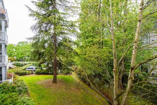 Photo 34: 211 5465 201 Street in Langley: Langley City Condo for sale in "Briarwood" : MLS®# R2878971