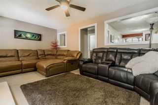 Photo 10: 178 SPRINGFIELD Drive in Langley: Aldergrove Langley House for sale : MLS®# R2414458
