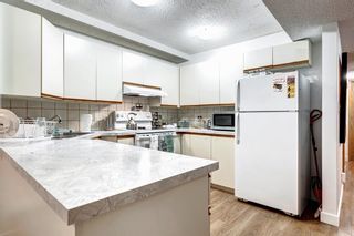 Photo 20: G 420 Marten Street: Banff Apartment for sale : MLS®# A2008611