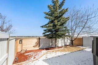 Photo 31: 104 Chaparral Crescent SE in Calgary: Chaparral Detached for sale : MLS®# A1186930