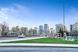 Photo 29: 902 38 9 Street NE in Calgary: Bridgeland/Riverside Apartment for sale : MLS®# A2072227