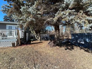 Photo 34: 39056 Road 74 N in Portage la Prairie RM: House for sale : MLS®# 202403776