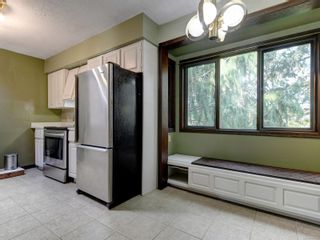 Photo 7: 4160 Cedar Hill Rd in Saanich: SE Mt Doug House for sale (Saanich East)  : MLS®# 859596