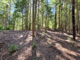 Photo 13: Lot 1 SAUNDERS ROAD in Passmore: Vacant Land for sale : MLS®# 2469922