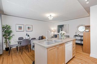 Photo 15: 5 330 19 Avenue SW in Calgary: Mission Apartment for sale : MLS®# A2126034