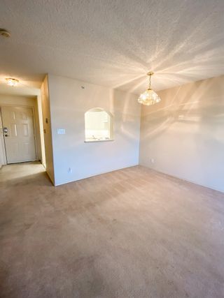 Photo 15: 403 1638 6TH Avenue in Prince George: Downtown PG Condo for sale (PG City Central (Zone 72))  : MLS®# R2633666