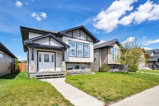 Main Photo: 135 Ibbotson Close: Red Deer Detached for sale : MLS®# A2133374
