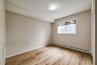 Photo 11: 3118 10 Prestwick Bay SE in Calgary: McKenzie Towne Apartment for sale : MLS®# A2051811