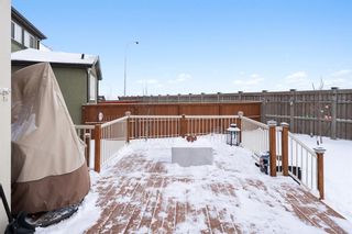 Photo 30: 208 Masters Crescent SE in Calgary: Mahogany Detached for sale : MLS®# A1170105