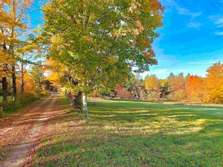 Photo 14: 110 East Dalhousie Road in East Dalhousie: Kings County Farm for sale (Annapolis Valley)  : MLS®# 202224161