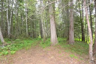 Photo 37: DL 1335A 37 Highway: Kitwanga Land for sale (Smithers And Area (Zone 54))  : MLS®# R2471833