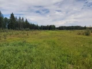 Photo 32: 41121 Range Road 40.5: Rural Lacombe County Agriculture for sale : MLS®# A2036209