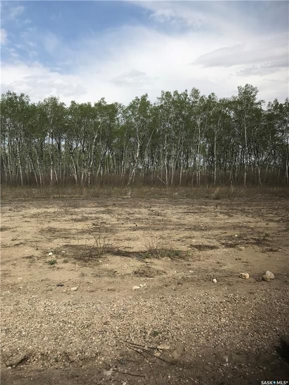 Main Photo: 230 7th Avenue Northeast in Preeceville: Lot/Land for sale : MLS®# SK941969