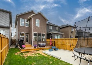 Photo 37: 79 Legacy Close SE in Calgary: Legacy Detached for sale : MLS®# A1217147