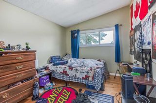 Photo 31: 219 64 Avenue NW in Calgary: Thorncliffe Detached for sale : MLS®# A2066197