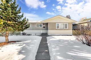 Photo 11: 1523 47 Street SE in Calgary: Forest Lawn Detached for sale : MLS®# A2020953
