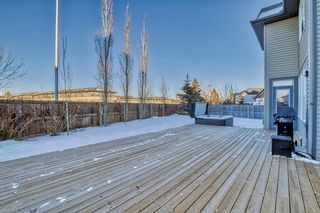 Photo 3: 228 Tremblant Heights SW in Calgary: Springbank Hill Detached for sale : MLS®# A2020874