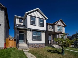 Photo 24: 250 Cranford Way SE in Calgary: Cranston Detached for sale : MLS®# A1164005