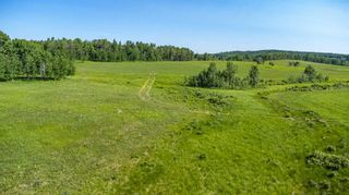 Photo 3: 154 Ave & 256 St W: Rural Foothills County Residential Land for sale : MLS®# A2049332