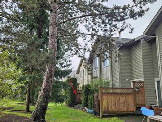 Photo 16: 16 40200 GOVERNMENT Road in Squamish: Garibaldi Estates Townhouse for sale in "Viking Ridge" : MLS®# R2869963