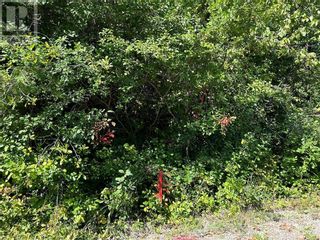 Photo 14: YULE ROAD in Merrickville: Vacant Land for sale : MLS®# 1360409