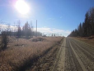 Photo 32: NW 24-54 RR 131: Niton Junction Rural Land for sale (Edson)  : MLS®# 32590