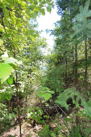 Photo 11: Lot 33 4498 Squilax Anglemont Hwy in Scotch Creek: Land Only for sale : MLS®# 10235084