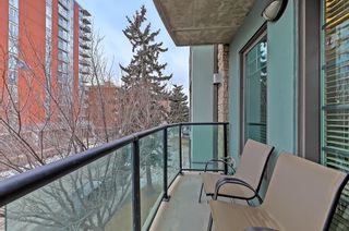 Photo 32: 301 108 25 Avenue SW in Calgary: Mission Apartment for sale : MLS®# A1223120