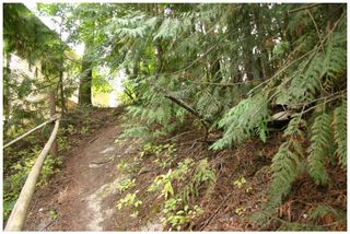Photo 14: Lot 49 Forest Drive: Blind Bay Vacant Land for sale (Shuswap Lake)  : MLS®# 10217653