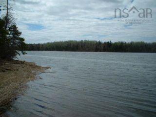Photo 5: Pugwash River Road in Pugwash River: 102N-North Of Hwy 104 Vacant Land for sale (Northern Region)  : MLS®# 202319695