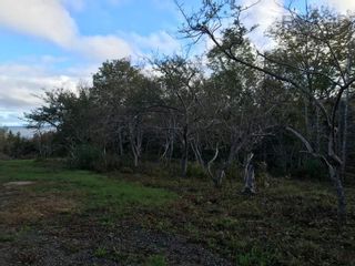 Photo 10: Lot Culloden Road in Culloden: 401-Digby County Vacant Land for sale (Annapolis Valley)  : MLS®# 202125188
