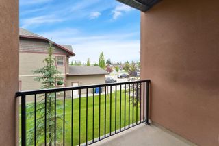 Photo 25: 203 69 Ironstone Drive: Red Deer Apartment for sale : MLS®# A2049255