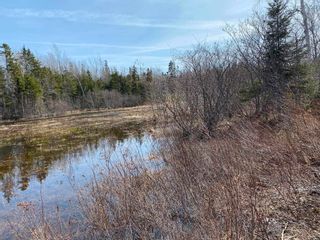 Photo 29: Lot 20 Lakeside Drive in Little Harbour: 108-Rural Pictou County Vacant Land for sale (Northern Region)  : MLS®# 202207906