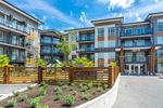 Main Photo: 205 19935 75A Avenue in Langley: Willoughby Heights Condo for sale : MLS®# R2869877